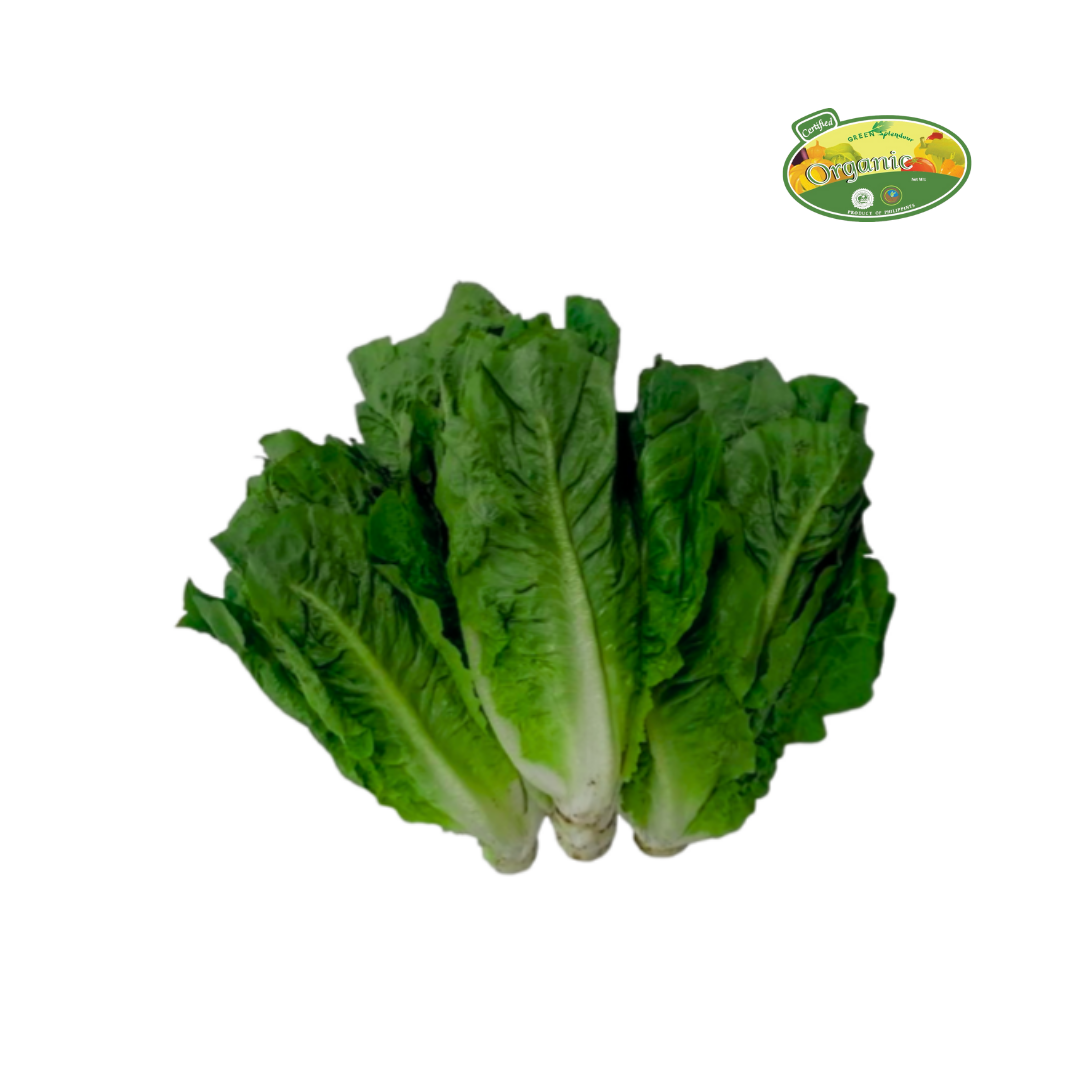 S&R Organic Maximus Romaine Lettuce approx 200g